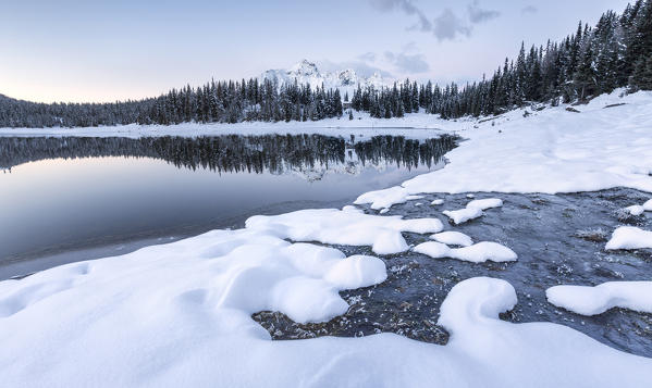 Woods and snowy peaks are reflected in Palù Lake at dusk Malenco Valley Valtellina Lombardy Italy Europe