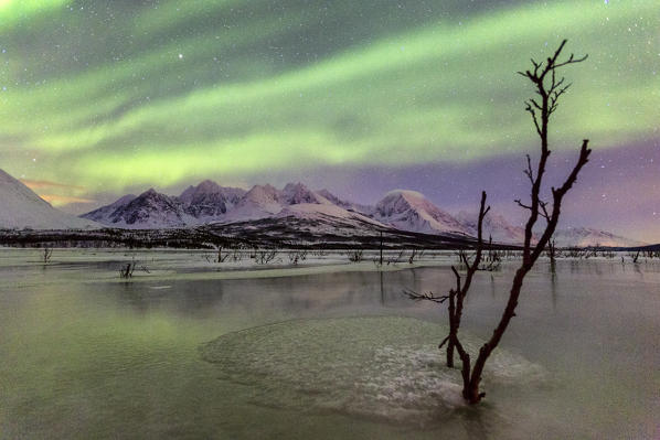 Aurora Borealis on the frozen lagoon of Jaegervatnet Stortind
Lyngen Alps Tromsø Lapland Norway Europe