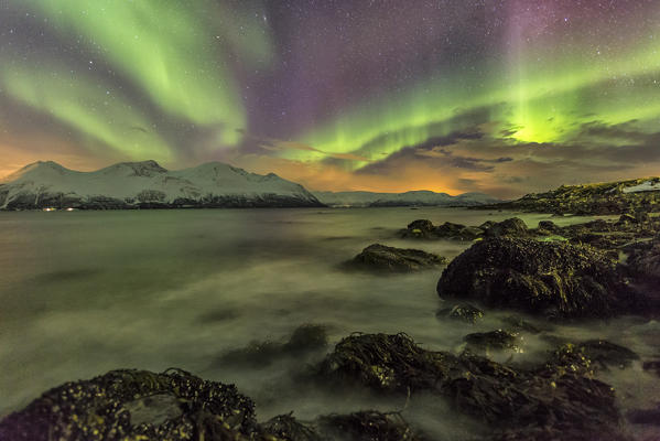 Northern Lights on the icy landscape of Svensby Lyngen Alps Tromsø Lapland Norway Europe