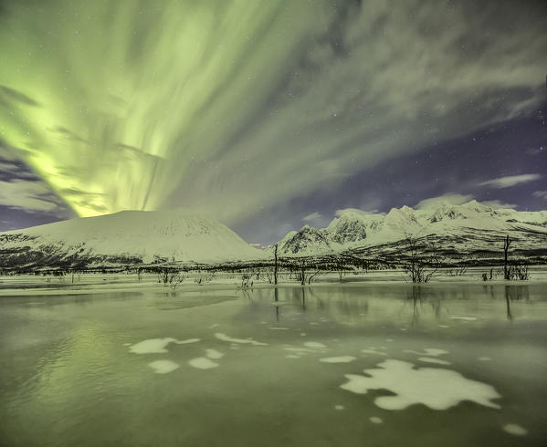 Aurora Borealis on the frozen lagoon of Jaegervatnet Stortind
Lyngen Alps Tromsø Lapland Norway Europe