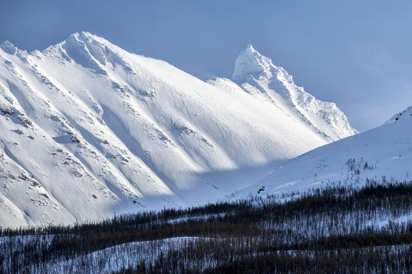 Blue sky and snow capped mountains around woods Lyngen Alps Tromsø Lapland Norway Europe