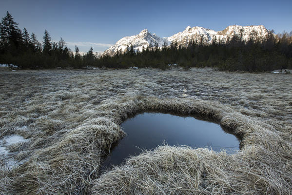 Pond of water surrounded by woods and snowy peaks around Lake Entova Sondrio Valmalenco Valtellina Lombardy Italy Europe