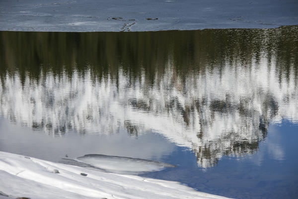 The spring thaw melts ice while snowy peaks are reflected in Lake Palù Sondrio Malenco Valley Valtellina Lombardy Italy Europe