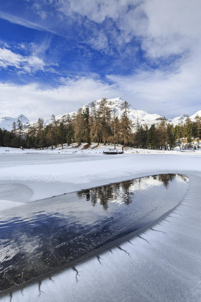 Snowy peaks and woods are reflected in Lej Marsch partially frozen Maloja Canton of Graubünden Engadine Switzerland Europe