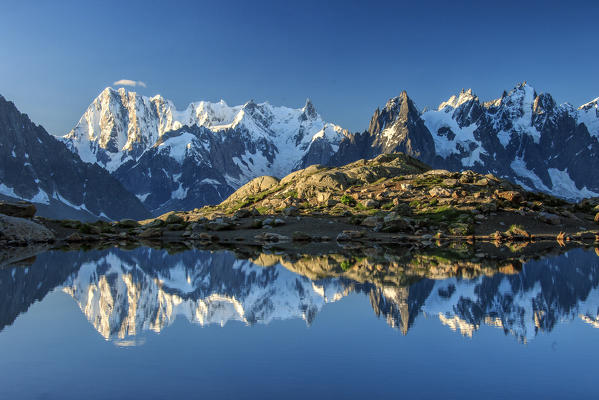 Snowy peaks of Dent Du Geant and Grandes Jorasses are reflected in Lac Blanc Haute Savoie France Europe