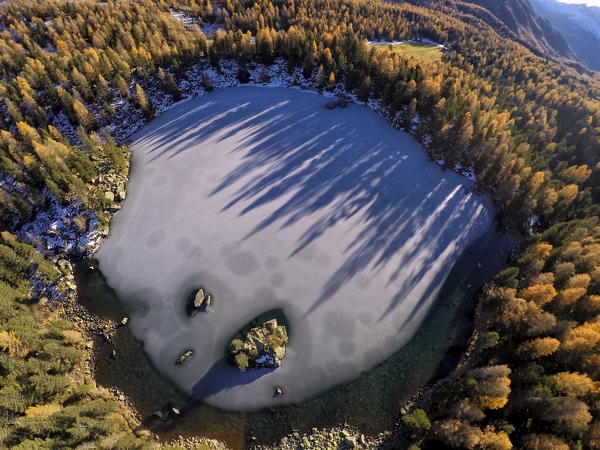 A drone captures the frozen Saoseo Lake surrounded by colorful woods Poschiavo Valley Canton of Graubuenden Switzerland Europe