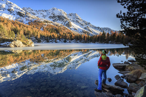 Hiker admires the colorful woods reflected in Saoseo Lake Poschiavo Valley Canton of Graubuenden Switzerland Europe