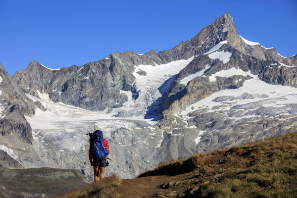 Hiker proceeds on the footpath towards the high peaks in a clear summer day Gornergrat Canton of Valais Switzerland Europe