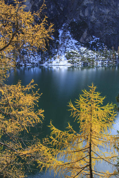 Autumn colors around the clear waters of Lake Braies Natural Park of Fanes Sennes Bolzano Trentino Alto Adige Italy Europe