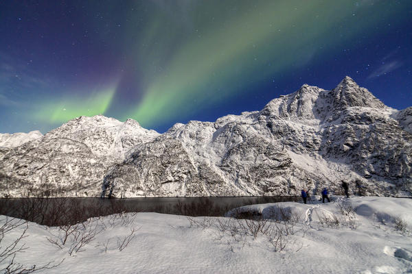 Northern Lights illuminate the snowy peaks and the blue sky during a starry night Budalen Svolvaer Lofoten Islands Norway Europe