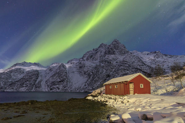 Northern Lights illuminate snowy peaks and the wooden cabin on a starry night at Budalen Svolvaer Lofoten Islands Norway Europe