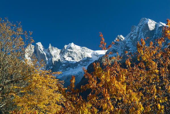 Autumn in Bondasca Valley. Switzerland Europe