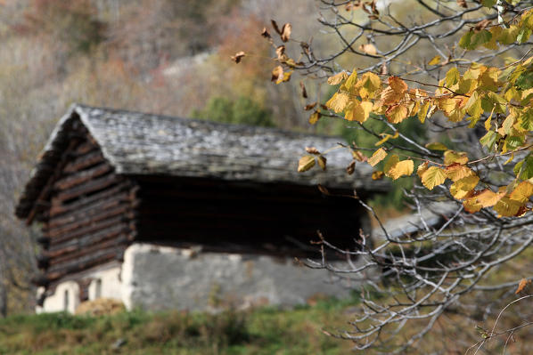 Typical chalet close to the village of Soglio. Bondasca Valley. Switzerland Europe