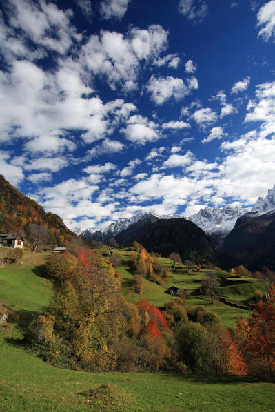 Autumn colors near the village of Soglio. Bondasca Valley. Switzerland Europe