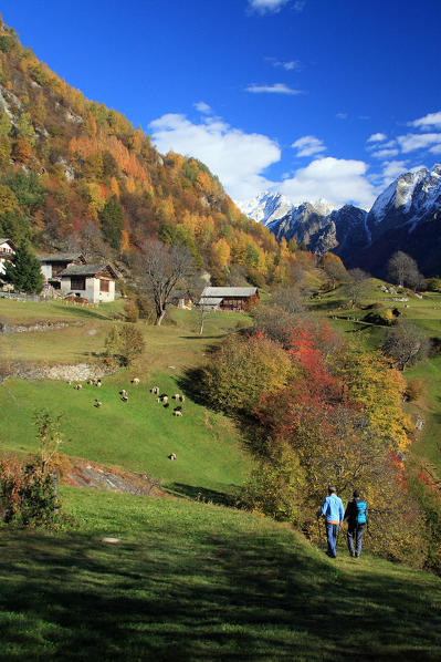 Autumn in Soglio. Bondasca Valley. Switzerland Europe