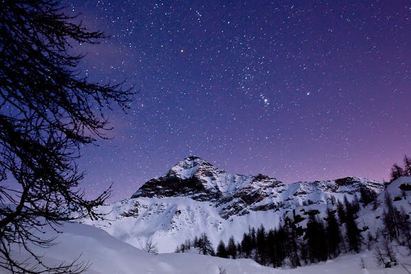Starry Night over Pizzo Scalino in winter. Valmalenco. Valtellina Lombardy. Italy Europe