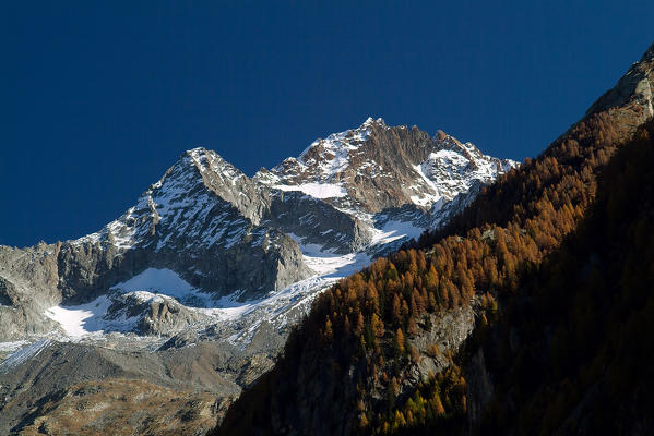 Mount Disgrazia and Mount Pioda surrounded by autumn colors of the Mello Valley. Valmasino Valtellina. Lombardy Italy Europe