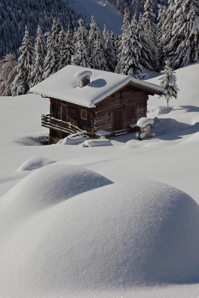 Traditional baita of Valfurva after a heavy winter snowfall. Santa Caterina Valfurva. Valtellina. Lombardy Italy. Europe