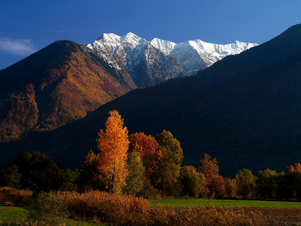 View of the snowy peaks of Lesina Valley from Valtellina valley bottom in Autumn. Dubino. Orobie Alps. Lombardy, Italy. Europe