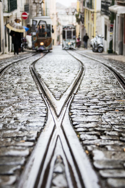 The steel rails on a rainy day with the typical trams leading to Bairro Alto district Lisbon Portugal Europe