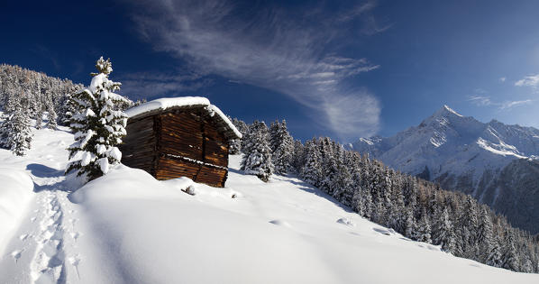 Snowy landscape in Valfurva with Tresero Peak in the background. High Valtellina. Lombardy. Italy. Europe