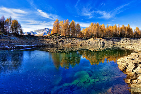 The yellowed larches are reflected in the turquoise waters of Blue Lake not far from Madesimo the main tourist resort in the valley. Spluga Valley. Valchiavenna. Lombardy. Italy. Europe