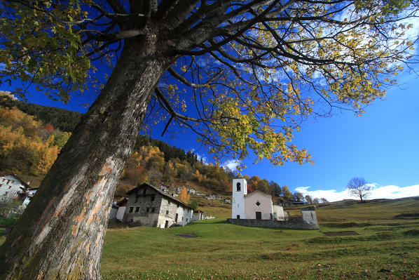 The church of Dalò surrounded by autumn colors. Valchiavenna. Vallespluga. Lombardy. Italy. Europe
