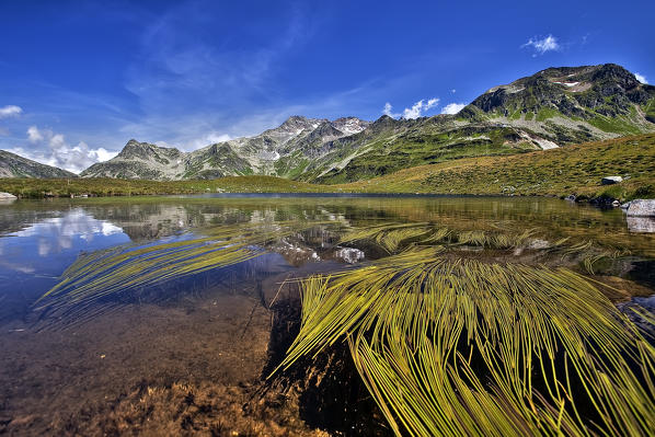 Algae floating on the water at Lake Andossi above the village of Madesimo. Valchiavenna. Vallespluga. Lombardy. Italy. Europe