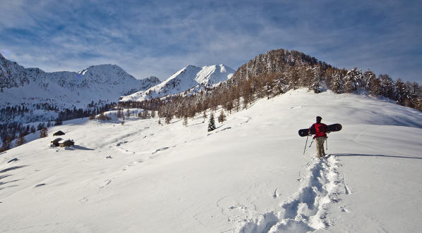 A snowboarder goes up the gentle slopes of Motta of Olano. Facing Mount Combana. Rasura. Valgerola. Alps Orobie. Valtellina. Lombardy. Italy. Europe