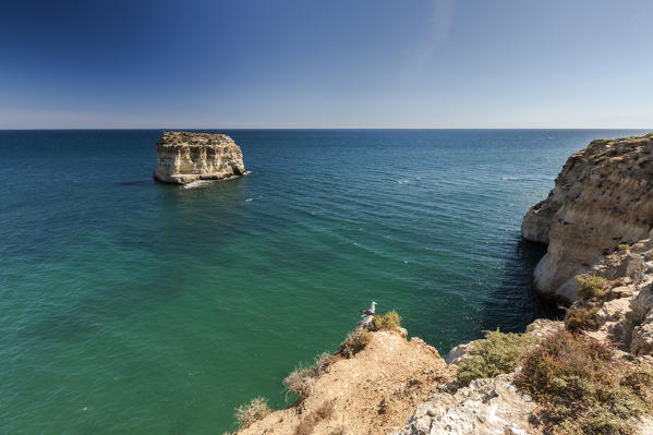 The turquoise water of the Atlantic Ocean frames the cliffs of Praia do Torrado  Algarve Lagoa Faro District Portugal Europe