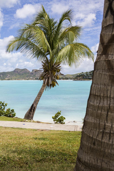 Palm trees and fine sand surrounded by Caribbean Sea Ffryes Beach Sheer Rocks Antigua and Barbuda Leeward Island West Indies