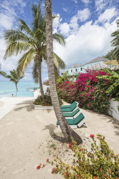 Sunbeds and palm trees overlooking the Caribbean Sea Ffryes Beach Sheer Rocks Antigua and Barbuda Leeward Island West Indies
