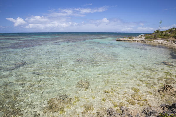 The turquoise shades of the Caribbean Sea seen from the cliffs of Green Island Antigua and Barbuda Leeward Island West Indies