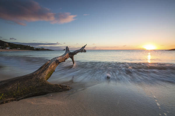 Tree trunk on the beach framed by the caribbean sunset at Hawksbill Bay Antigua and Barbuda Leeward Islands West Indies