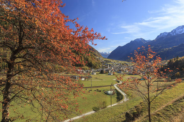 Autumn colors light up Poschiavo Valley Canton of Graubünden Switzerland Europe