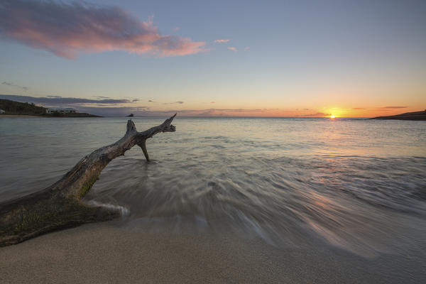 Waves on a tree trunk on the beach framed by the caribbean sunset Hawksbill Bay Antigua and Barbuda Leeward Islands West Indies