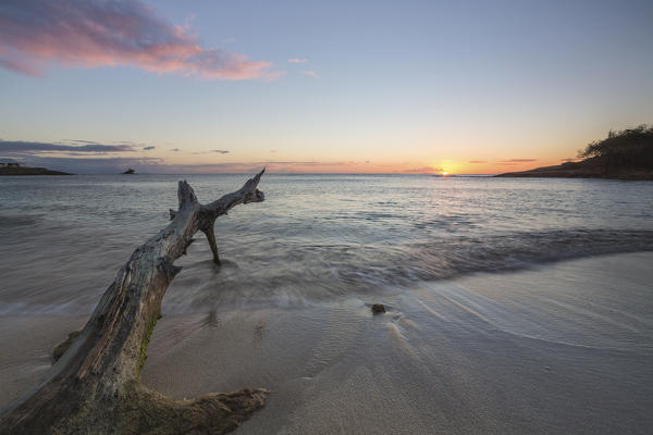 Waves on a tree trunk on the beach framed by the caribbean sunset Hawksbill Bay Antigua and Barbuda Leeward Islands West Indies