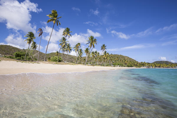 The long beach surrounded by palm trees and the Caribbean Sea Carlisle Morris Bay Antigua and Barbuda Leeward Island West Indies