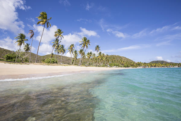 The long beach surrounded by palm trees and the Caribbean Sea Carlisle Morris Bay Antigua and Barbuda Leeward Island West Indies