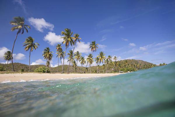 Underwater view of the sandy beach surrounded by palm trees Carlisle Morris Bay Antigua and Barbuda Leeward Island West Indies