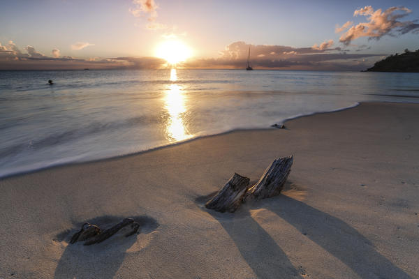 The caribbean sunset frames the remains of tree trunks on Ffryers Beach Antigua and Barbuda Leeward Islands West Indies
