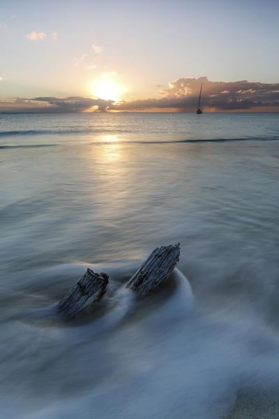 The waves and caribbean sunset frames the remains of tree trunks Ffryers Beach Antigua and Barbuda Leeward Islands West Indies