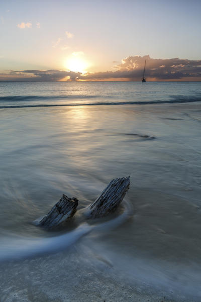 The waves and caribbean sunset frames the remains of tree trunks Ffryers Beach Antigua and Barbuda Leeward Islands West Indies