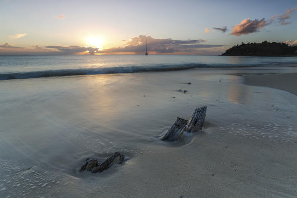 The waves and caribbean sunset frames the remains of tree trunks Ffryers Beach Antigua and Barbuda Leeward Islands West Indies