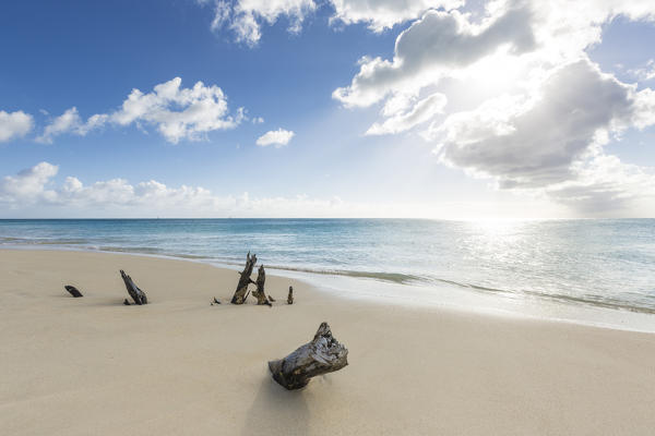 Tree trunks on the beach framed by the crystalline Caribbean Sea Ffryers Beach Antigua and Barbuda Leeward Islands West Indies