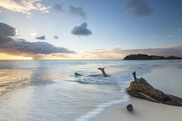 Tree trunks on the beach framed by the caribbean sunset Ffryers Beach Antigua and Barbuda Leeward Islands West Indies