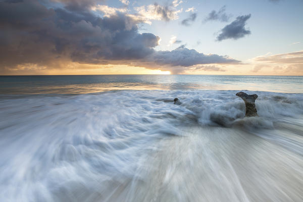 The waves and caribbean sunset frames tree trunks on Ffryers Beach Antigua and Barbuda Leeward Islands West Indies