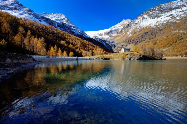 Reflections in the blue lake of Alp Grum in autumn. In the background the snowy peaks and glacier Palù. Poschiavo Valley Canton of Graubünden Switzerland Europe