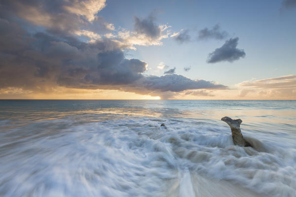 The waves and caribbean sunset frames tree trunks on Ffryers Beach Antigua and Barbuda Leeward Islands West Indies