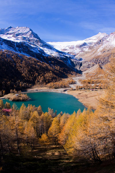 The lake of Alp Grum surrounded by autumn colors, in the background glacier Palù. Poschiavo Valley Canton of Graubünden Switzerland Europe